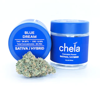 Blue Dream | 3.5g Jar | Chela