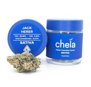 Jack Herer | 3.5g Jar | Chela