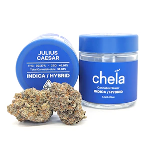 Pistachio Runtz | 3.5g Jar | Chela