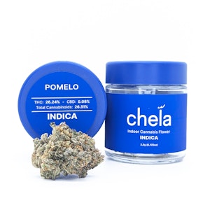 Chela - Pomelo | 3.5g Jar | Chela