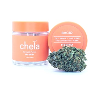 Chela Light - Bacio | 3.5g Jar | Chela Light