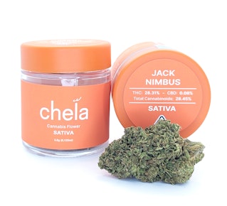 Jack Nimbus | 3.5g Jar | Chela Light