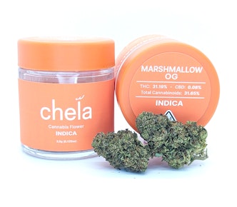 Marshmallow OG | 3.5g Jar | Chela Light