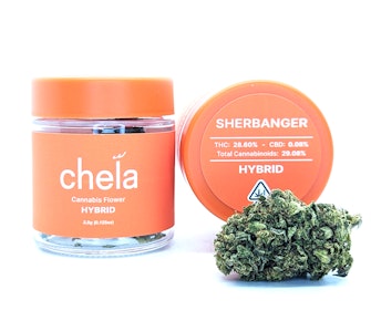 Sherbanger | 3.5g Jar | Chela Light