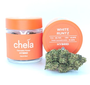 White Runtz | 3.5g Jar | Chela Light