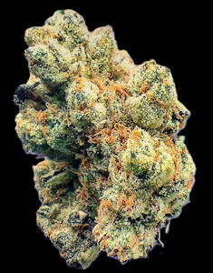 BLUE RAIN - Chem dela Chem - Flower