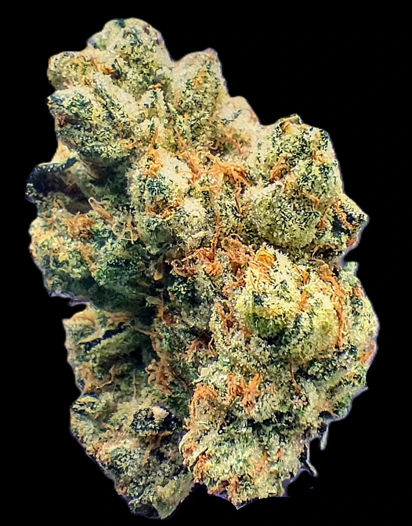 Blue Rain - Chem dela Chem - Flower Main Image