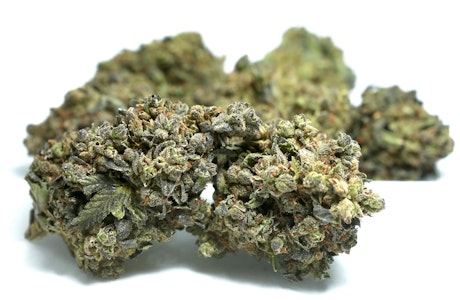 GREEN LINE - Greenline | Purple Chemdawg | 14g