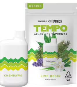 TEMPO - [Tempo] - Live Resin AIO Vape - 1g - ChemDawg (H)