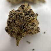 Cherry Bubble Gum Bombom
