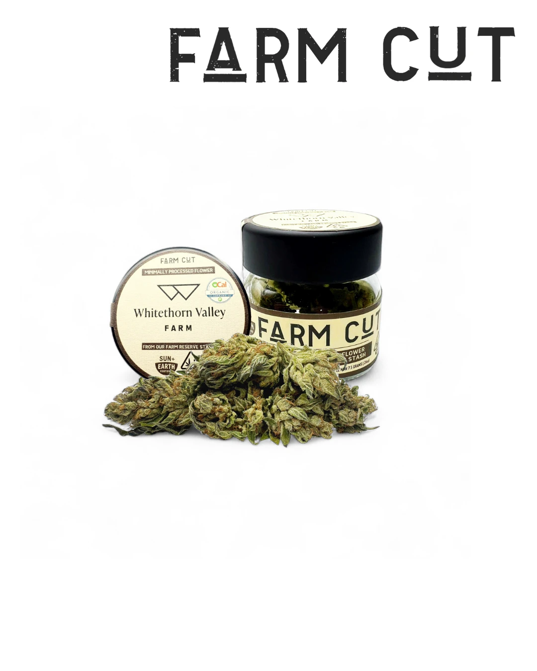 Farm Cut - Cherry Dosidos Main Image