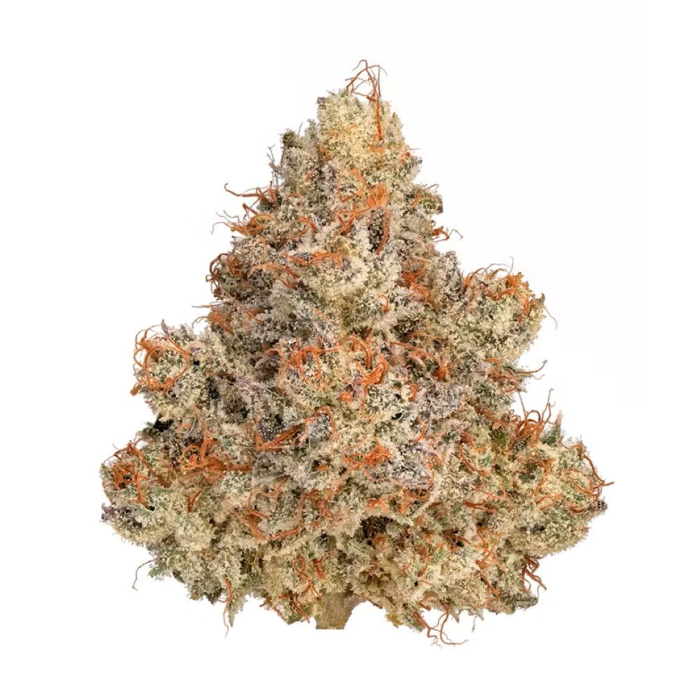 Harbor Harvest - Harbor Harvest | Cherry Ghostenade | 3.5g Main Image