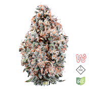 Cherry Jungle - 5.66 grams