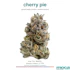 Product Preview Image 1