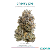 MOCA Flowers - Smalls 1/4 Bag - Cherry Pie