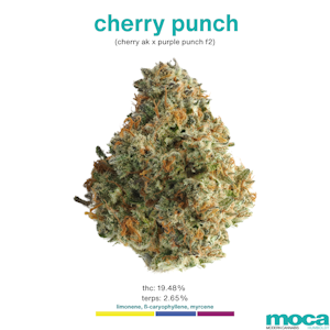 MOCA Flowers - MOCA Flowers - 1/8th Mylar Bag - Cherry Punch
