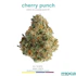 Product Preview Image 1