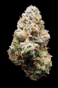 Croissant Bulk Flower (Hybrid)