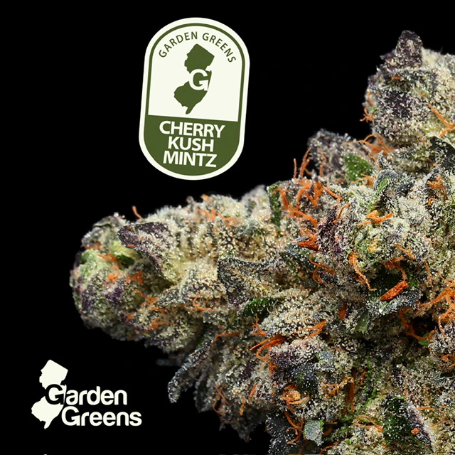Garden Greens - Cherry Kush Mints - 3.5g Main Image