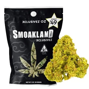 SMOAKLAND - Smoakland - Exclusive Jack Herer - Flower - 28g