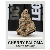 Cherry Paloma