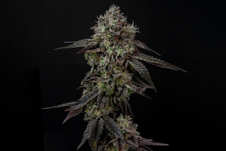 WILLIE'S RESERVE - WILLIE'S RESERVE - CHICKEN AND WAFFLES 3.5 GRAMS