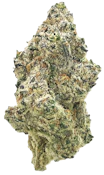 Chimera | Sativa Hybrid
