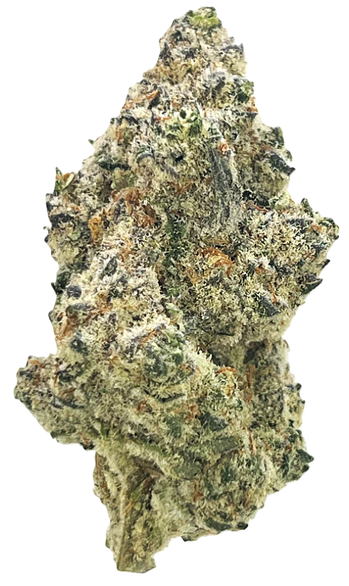 HONEYHOLE CANNABIS CO. - Chimera | Sativa Hybrid Main Image