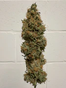 Chocobow 3.5g by Choof