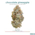 Product Preview Image 1