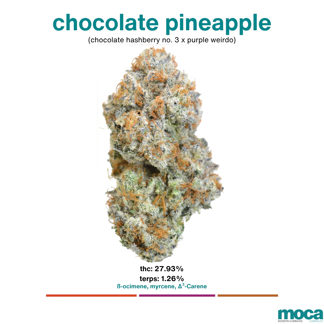 MOCA Flowers - MOCA Flowers - 1/2 oz Jar - Chocolate Pineapple Main Image