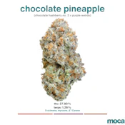 MOCA Flowers - 1/8th Mylar Bag - Chocolate Pineapple