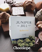 Juniper Jill - Chocolope 2.0 (Brilliance) - Flower - 3.5g