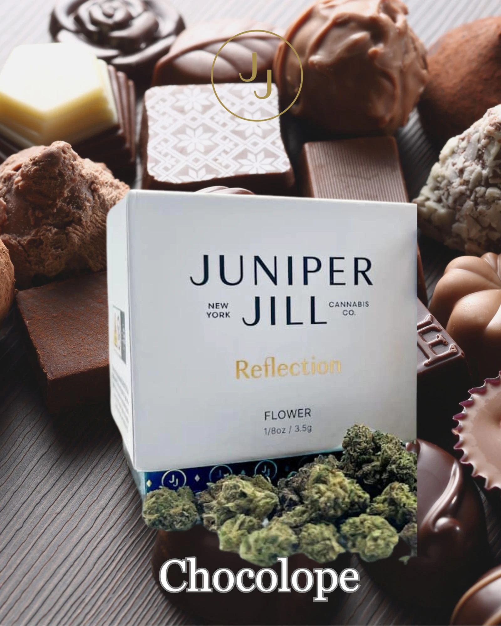 JUNIPER JILL - Juniper Jill - Chocolope 2.0 (Brilliance) - Flower - 3.5g Main Image
