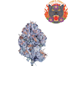 Gelonade x Cold Heat