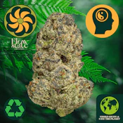 Flow State Cinnamon Toast Rntz 42208