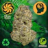 Product Preview Image 1