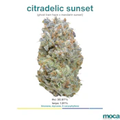 MOCA Flowers - 1/8th Mylar Bag - Citradelic Sunset