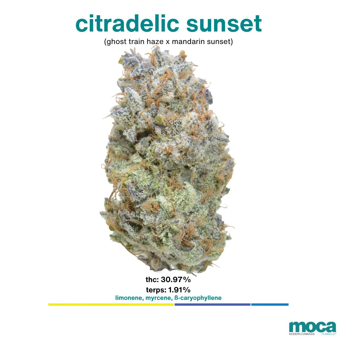 MOCA Flowers - MOCA Flowers - 1/8th Jar - Citradelic Sunset Main Image