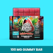 CITY ROOTS: Watermelon Gummy Bar 1 Piece/100mg (I)