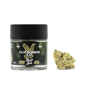 CLAYBOURNE CO. - Claybourne 1g Kush Mints