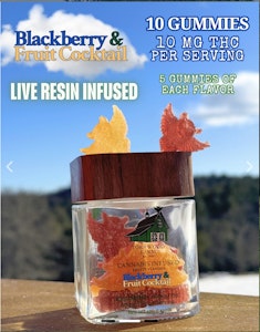 Torrwood Farm - Blackberry & Fruit Cocktail | Torrwood | Gummies | Live Resin | 10pcs | 10mg