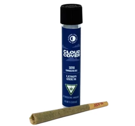 Cloud Cover - Queso Perro 2 Pack - 1g - CLC Main Image