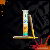 Coastal Sun - Cheetah Runtz - Infused Pre-Roll 2pk 1.5G