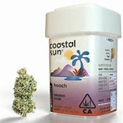  Coastal Sun - Hooch 3.5g