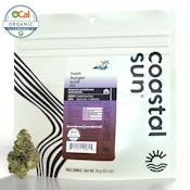 Coastal Sun | OCal | Hash Burger | 14g