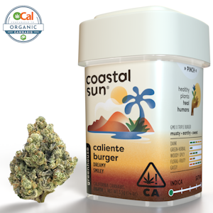 COASTAL SUN - Coastal Sun | OCal | Caliente Burger | 3.5g