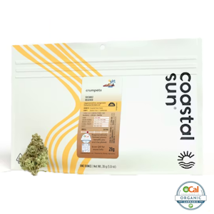 COASTAL SUN - Coastal Sun | OCal | Crumpets | 28g