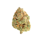 Coastal Sun | OCal | GMO Garlic Cookies | 14g