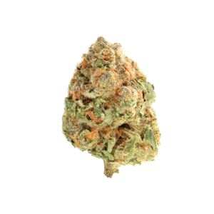 COASTAL SUN - Coastal Sun | OCal | GMO Garlic Cookies | 14g